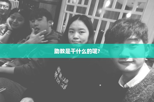 助教是干什么的呢?