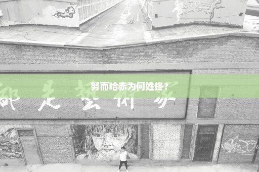 努而哈赤为何姓佟？