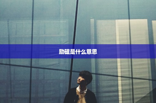 励磁是什么意思