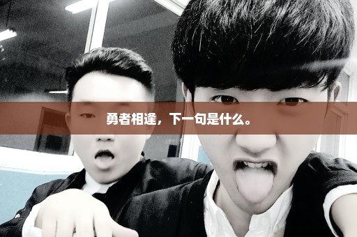 勇者相逢，下一句是什么。