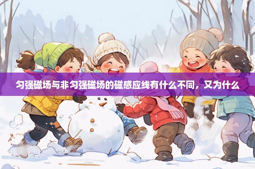 匀强磁场与非匀强磁场的磁感应线有什么不同，又为什么