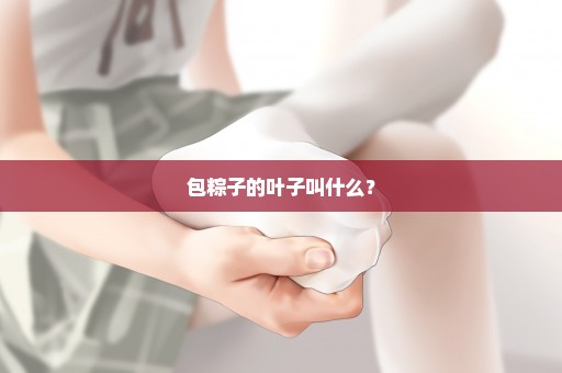 包粽子的叶子叫什么？