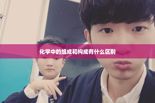 化学中的组成和构成有什么区别