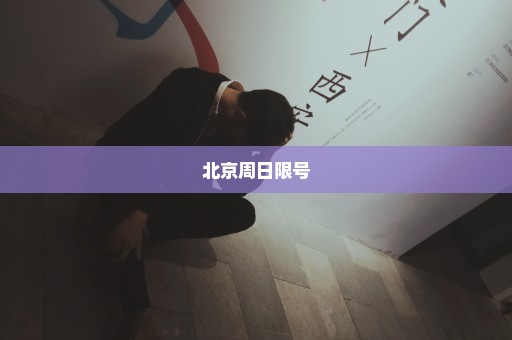 北京周日限号