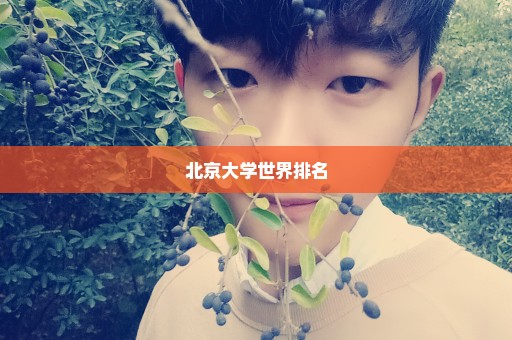 北京大学世界排名