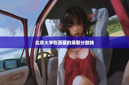 北京大学在西藏的录取分数线