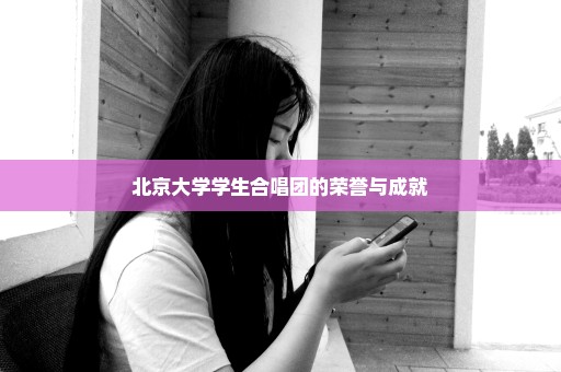 北京大学学生合唱团的荣誉与成就