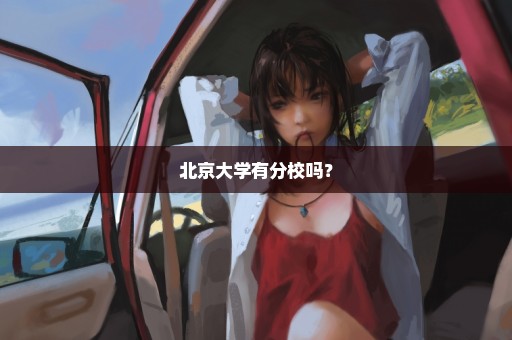北京大学有分校吗？