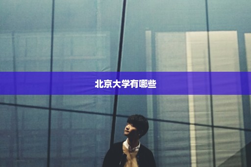 北京大学有哪些