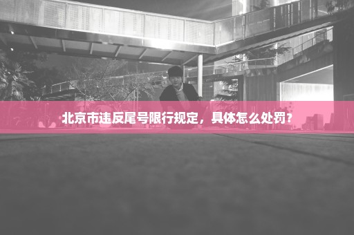 北京市违反尾号限行规定，具体怎么处罚？