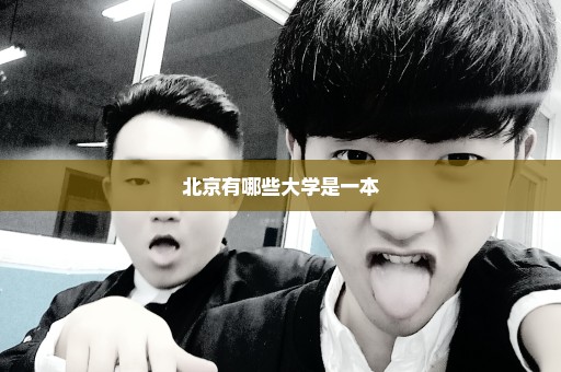 北京有哪些大学是一本