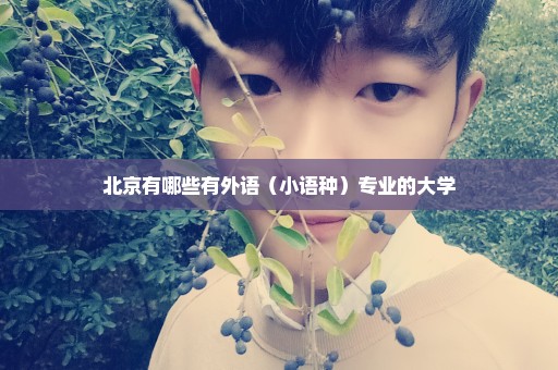 北京有哪些有外语（小语种）专业的大学