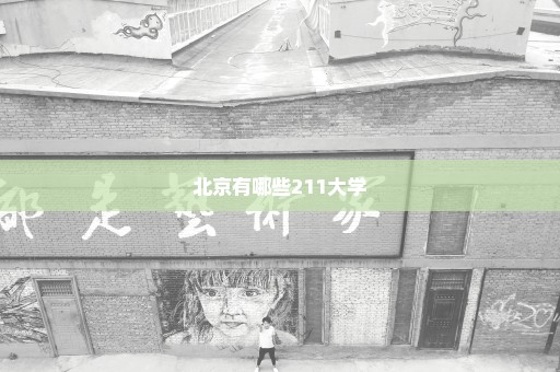 北京有哪些211大学