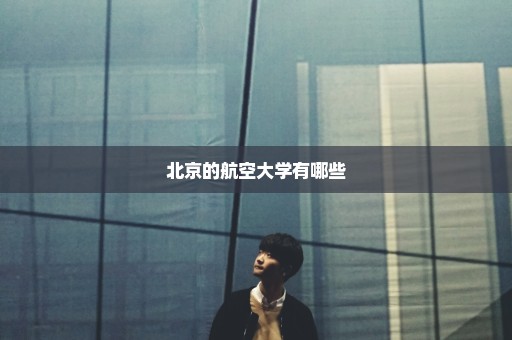 北京的航空大学有哪些