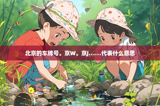 北京的车牌号。京W。京J……代表什么意思