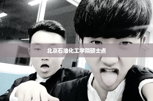 北京石油化工学院硕士点
