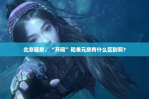 北京租房，“开间”和单元房有什么区别啊？