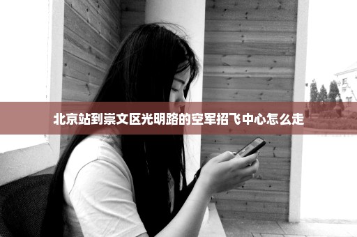 北京站到崇文区光明路的空军招飞中心怎么走