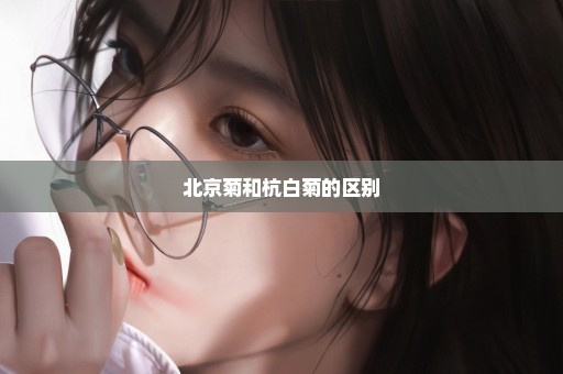 北京菊和杭白菊的区别
