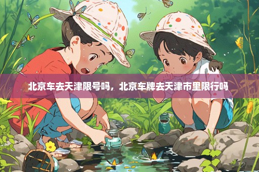 北京车去天津限号吗，北京车牌去天津市里限行吗 