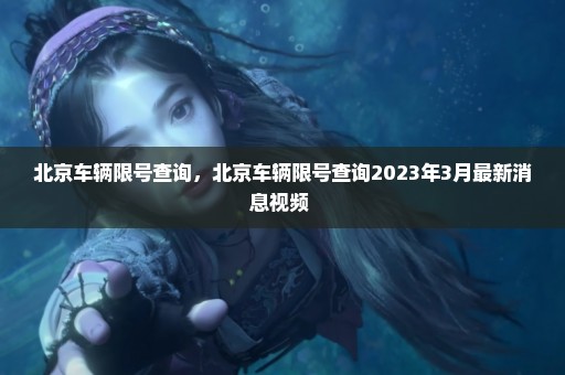 北京车辆限号查询，北京车辆限号查询2023年3月最新消息视频 