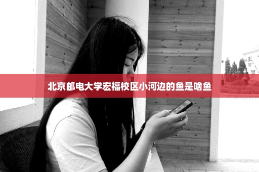 北京邮电大学宏福校区小河边的鱼是啥鱼