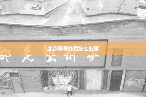 北京限号处罚怎么处理