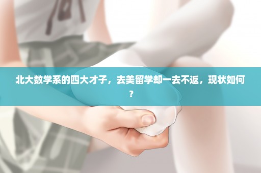 北大数学系的四大才子，去美留学却一去不返，现状如何？