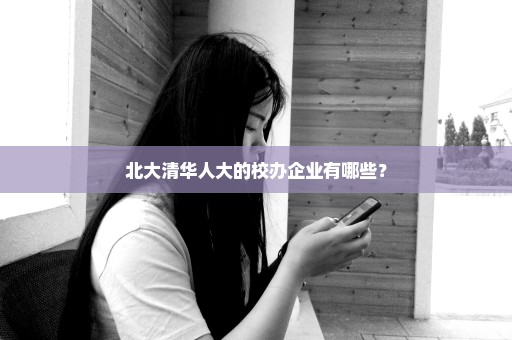 北大清华人大的校办企业有哪些？