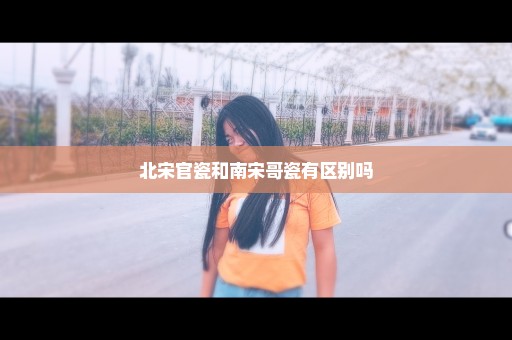 北宋官瓷和南宋哥瓷有区别吗