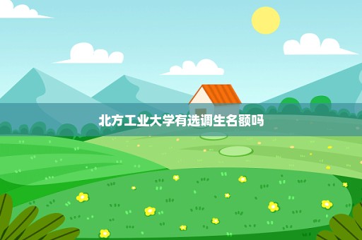 北方工业大学有选调生名额吗