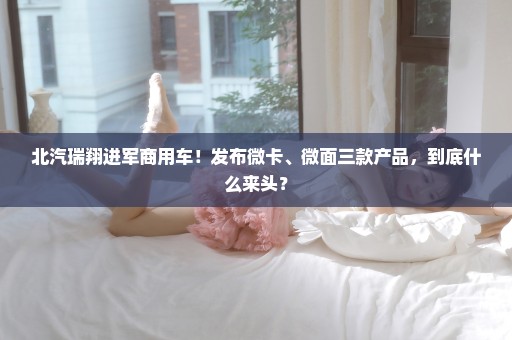 北汽瑞翔进军商用车！发布微卡、微面三款产品，到底什么来头？