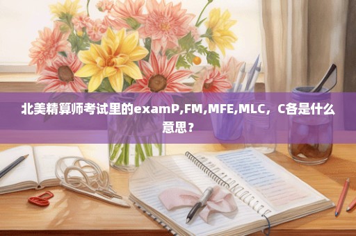 北美精算师考试里的examP,FM,MFE,MLC，C各是什么意思？