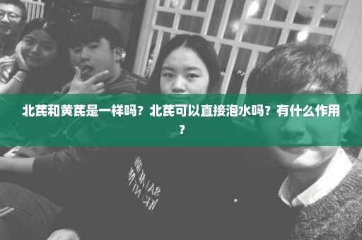 北芪和黄芪是一样吗？北芪可以直接泡水吗？有什么作用？