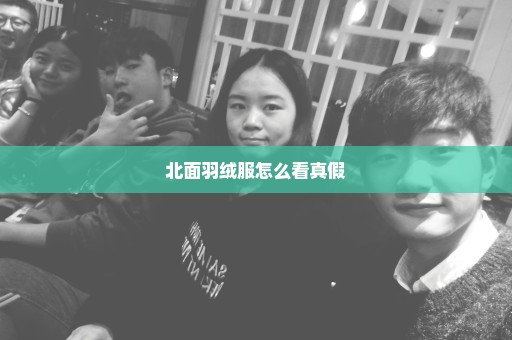 北面羽绒服怎么看真假