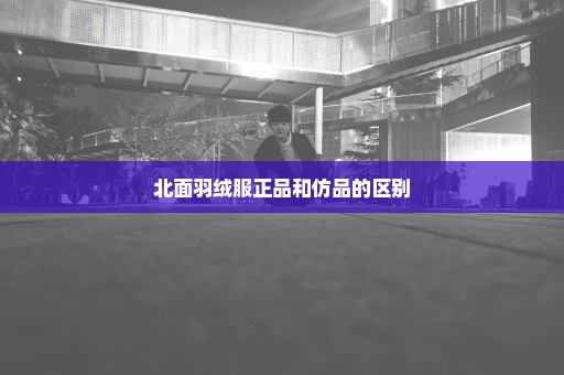 北面羽绒服正品和仿品的区别