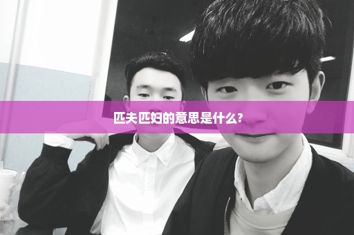 匹夫匹妇的意思是什么?