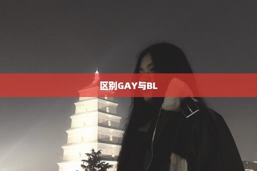 区别GAY与BL