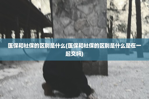 医保和社保的区别是什么(医保和社保的区别是什么是在一起交吗)