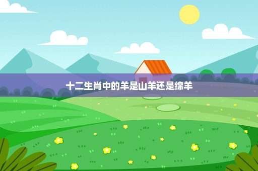 十二生肖中的羊是山羊还是绵羊