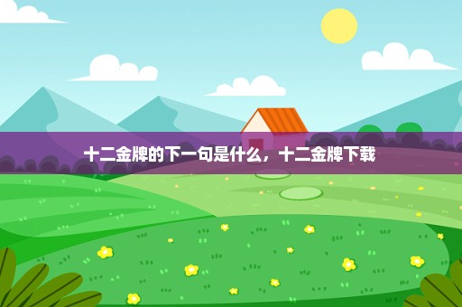 十二金牌的下一句是什么，十二金牌下载 