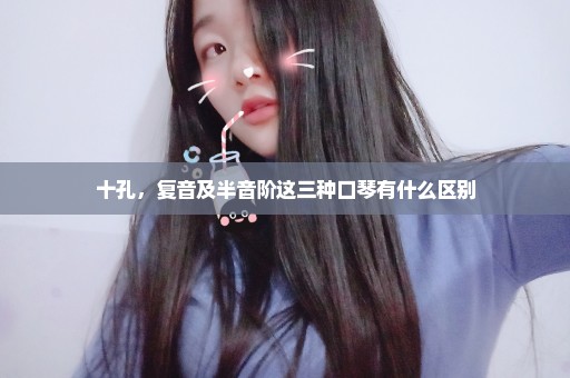 十孔，复音及半音阶这三种口琴有什么区别