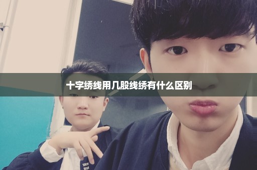 十字绣线用几股线绣有什么区别