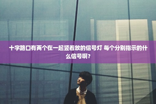 十字路口有两个在一起竖着放的信号灯 每个分别指示的什么信号啊？