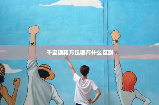 千足银和万足银有什么区别
