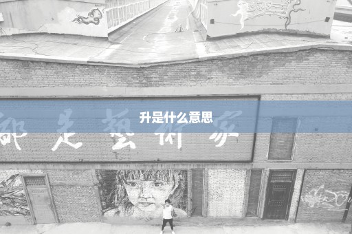 升是什么意思