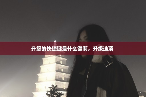 升级的快捷键是什么键啊，升级选项 
