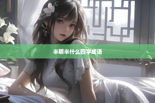 半明半什么四字成语