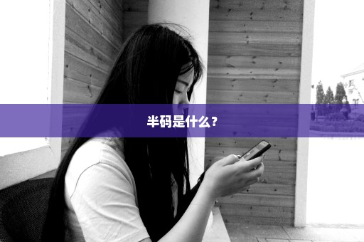 半码是什么？