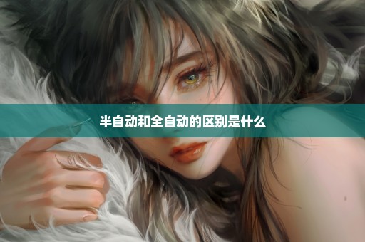 半自动和全自动的区别是什么